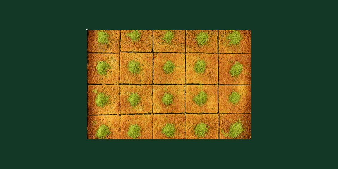 Cevizli Serpme Kadayıf