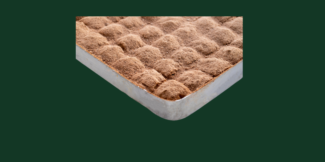 Cevizli Soğuk Baklava