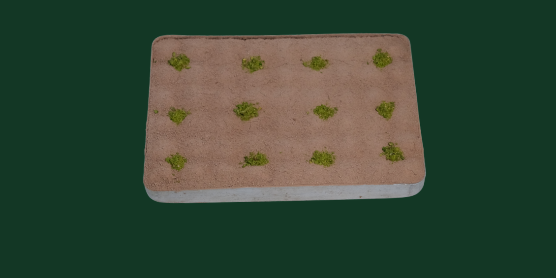 Fıstıklı Soğuk Baklava